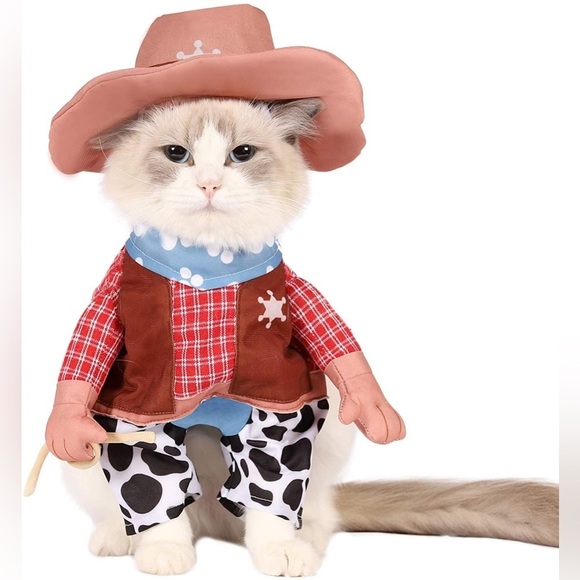 🦋 Western Cowboy Cat Outfit in Brown and Red Halloween Medium - Picture 2 of 6